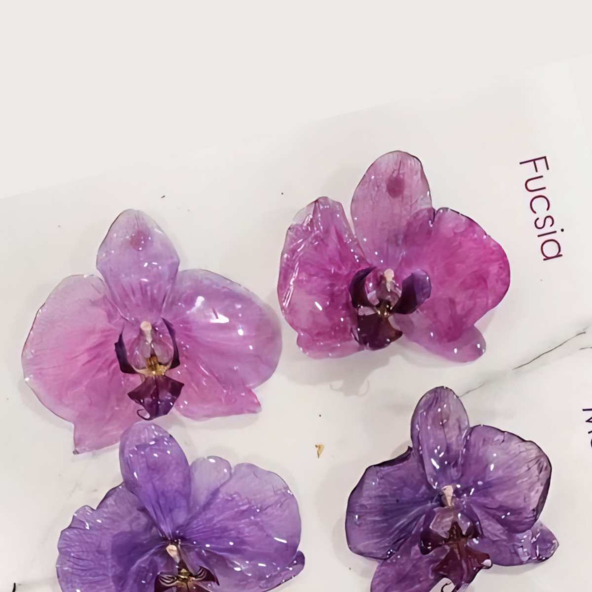 Purple Royal Orchid Earrings