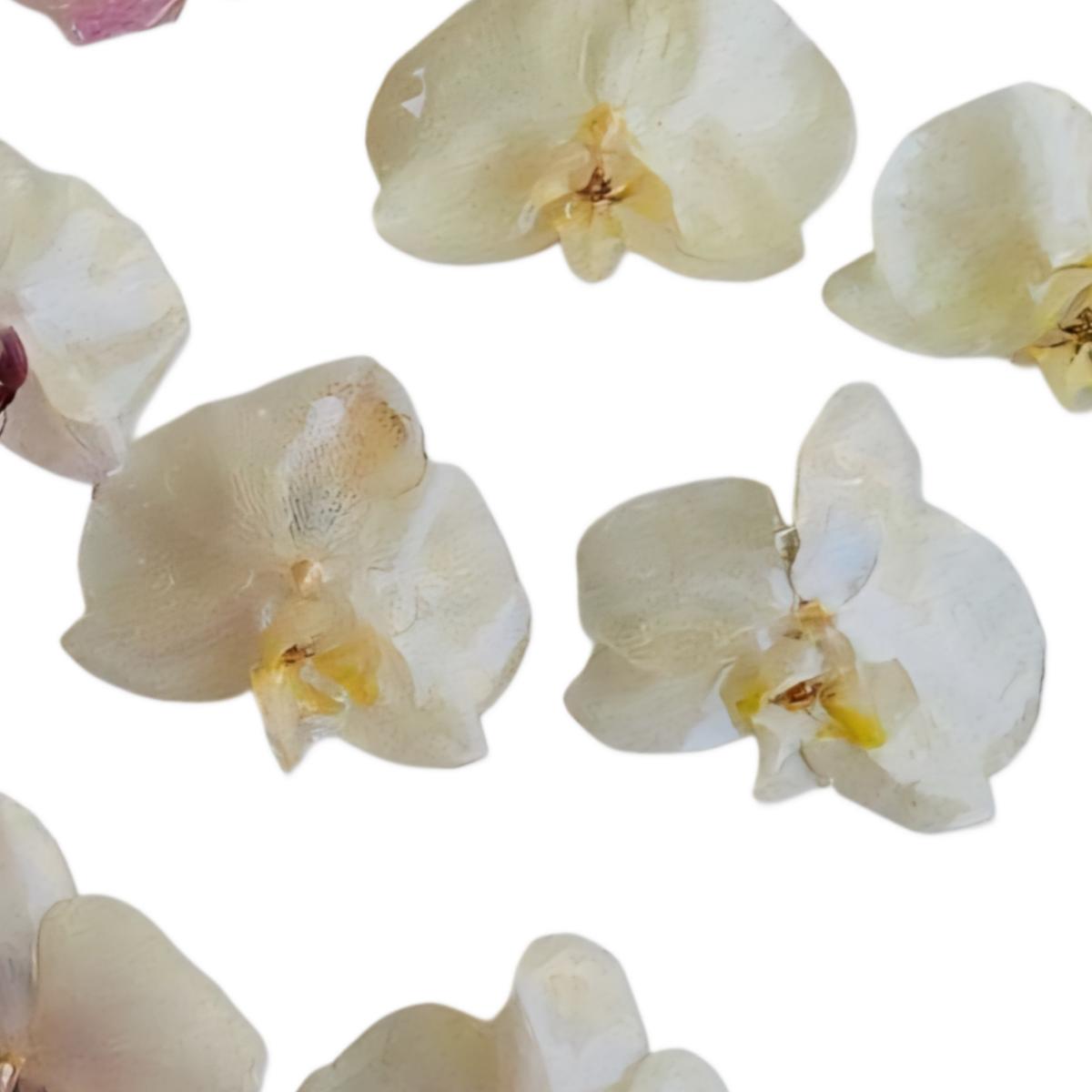 Purple Royal Orchid Earrings