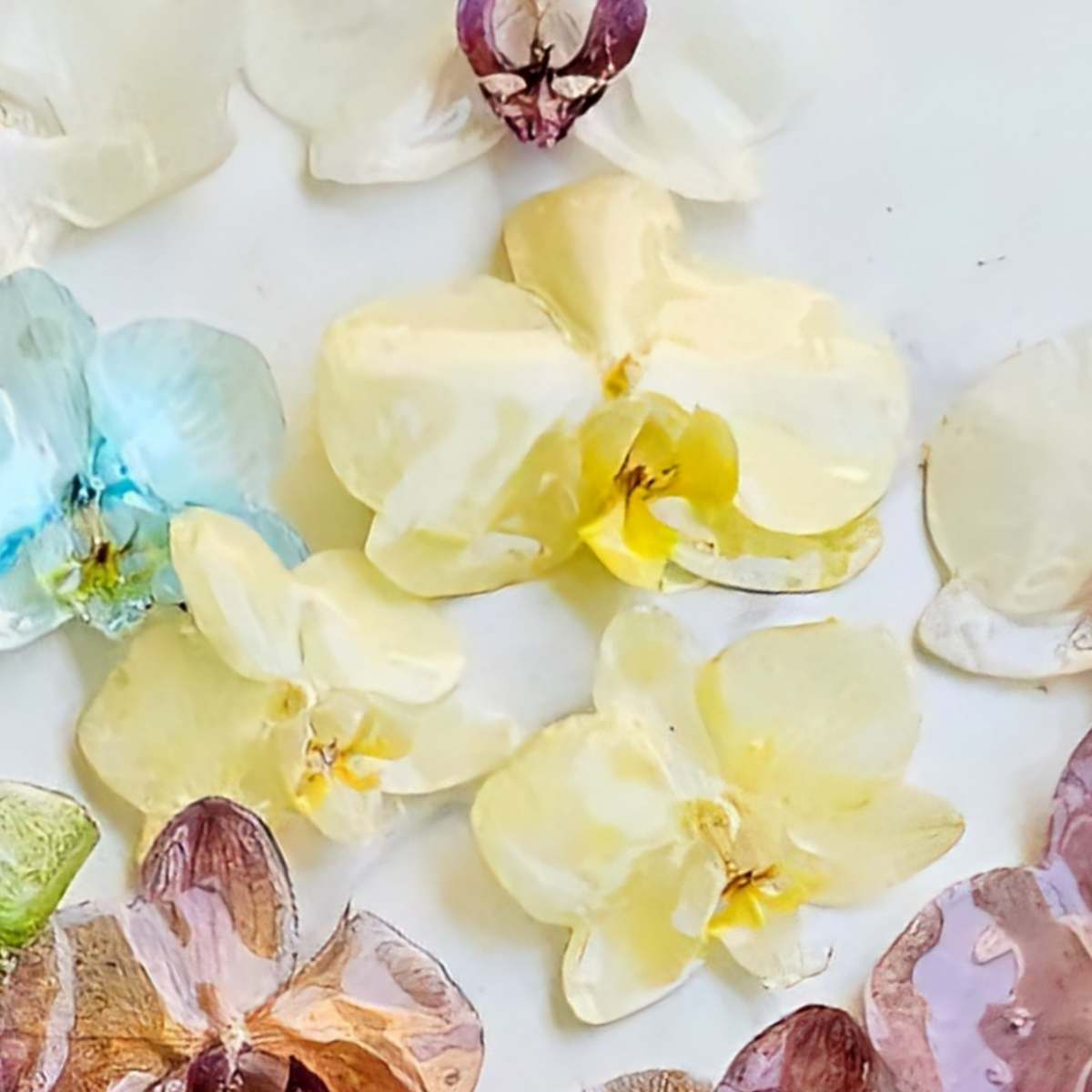 Purple Royal Orchid Earrings