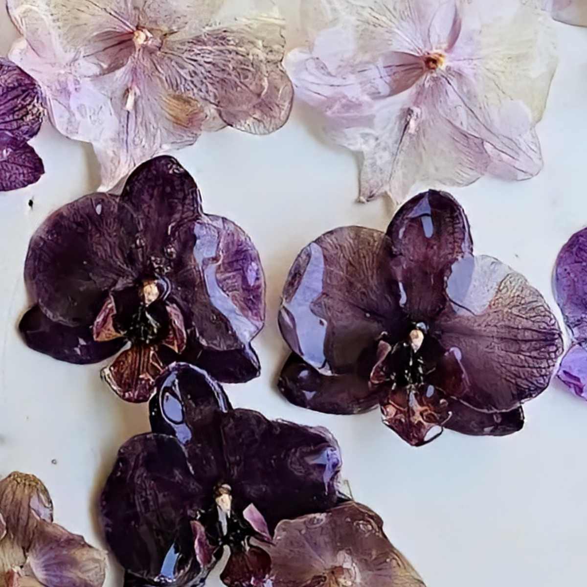 Purple Royal Orchid Earrings