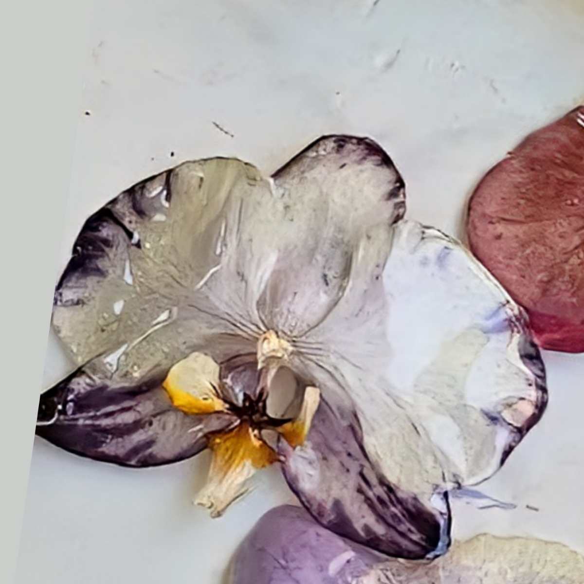 Purple Royal Orchid Earrings