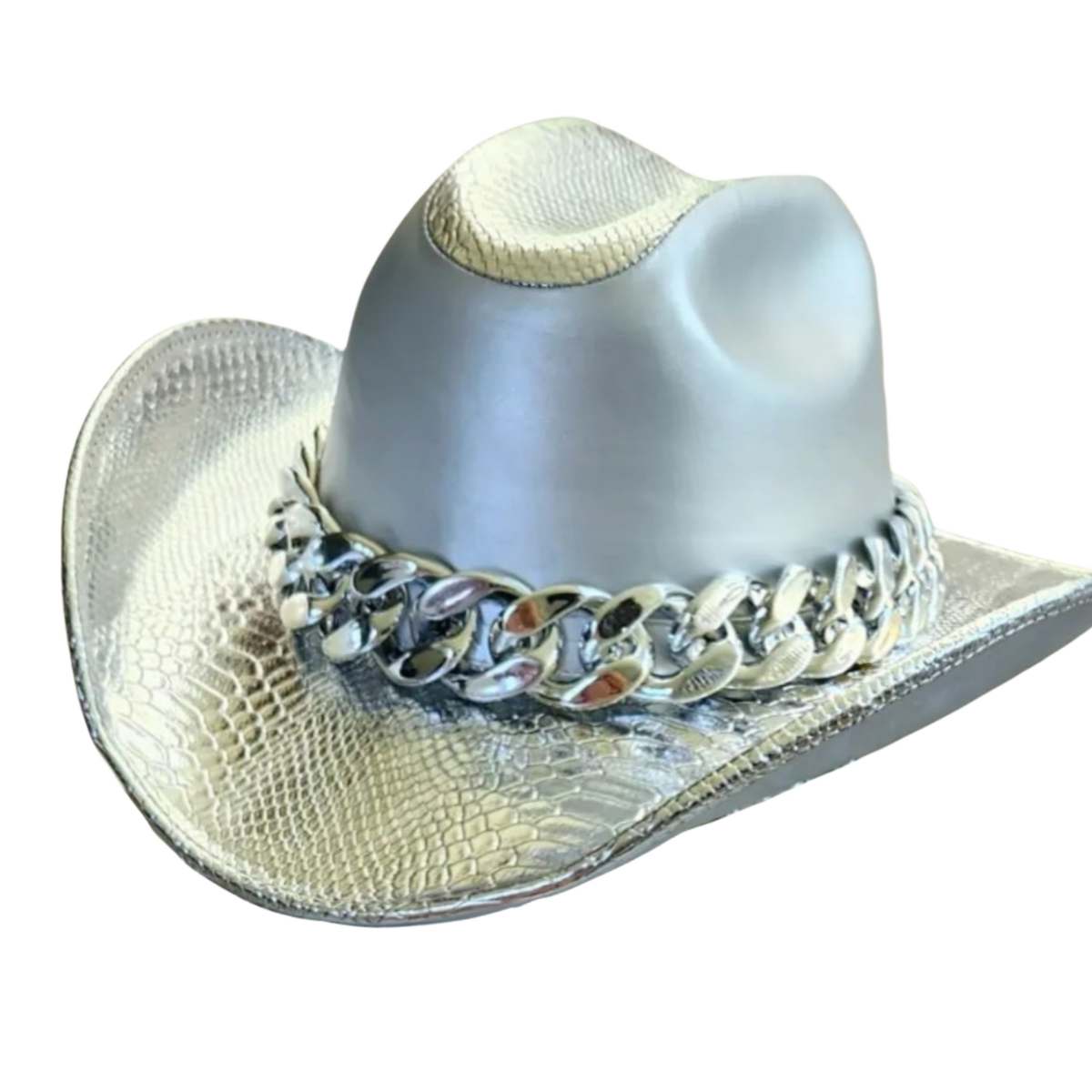 Sombrero Texana Cadenas Plata