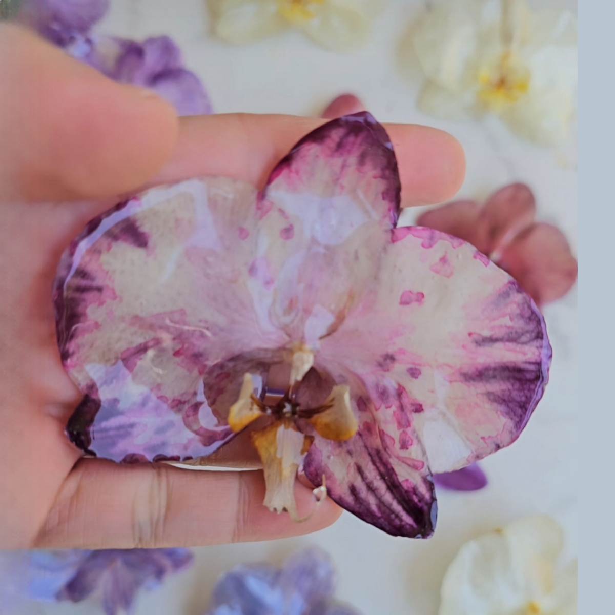 Prendedor Orquídea Real