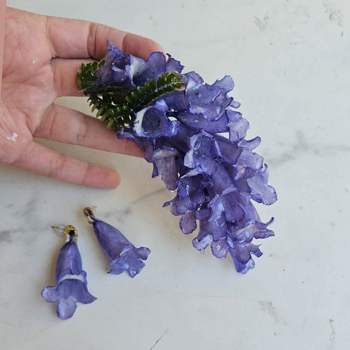 Prendedor Jacaranda Real preservados
