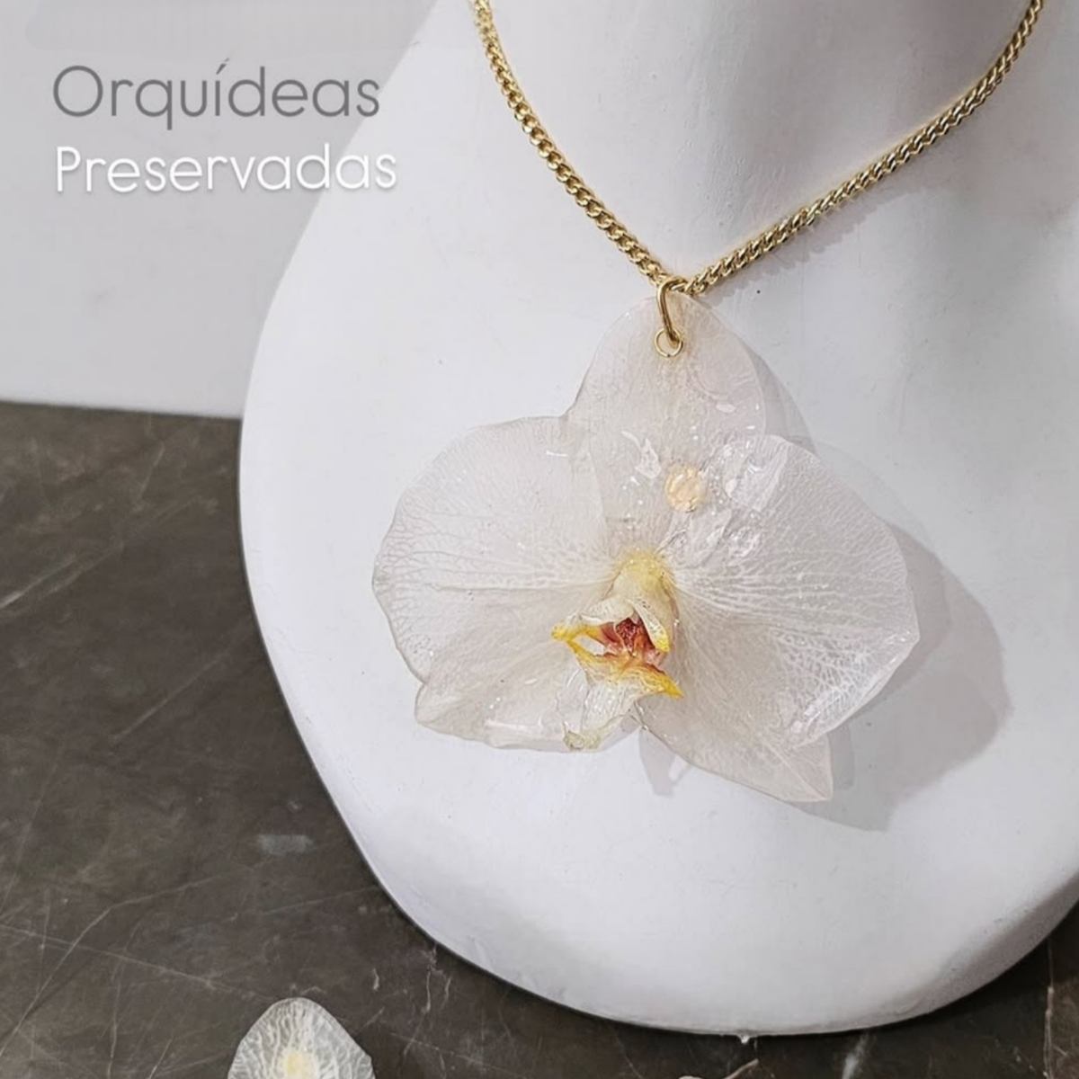 Collar Orquídea Real
