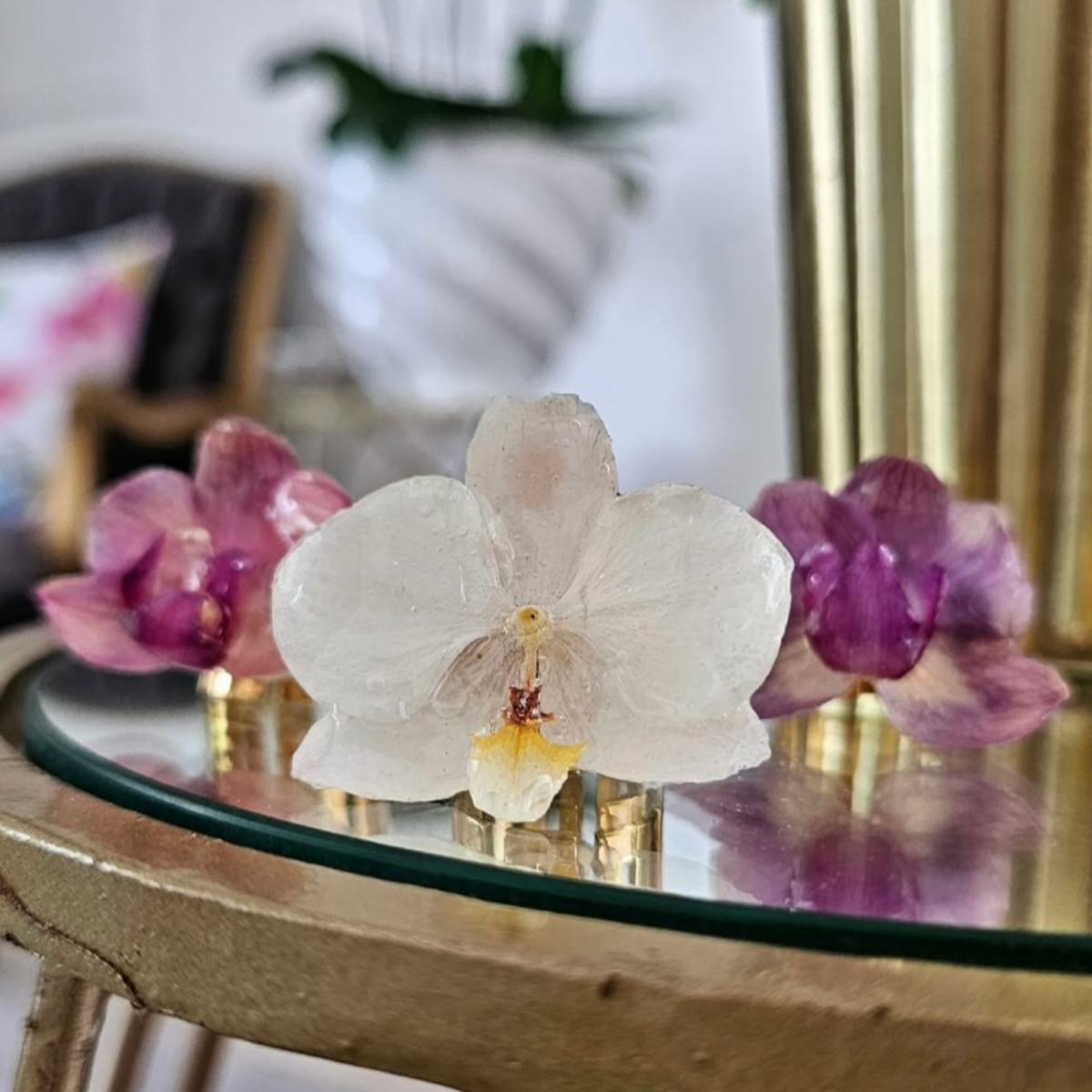 Anillo Orquídea Real
