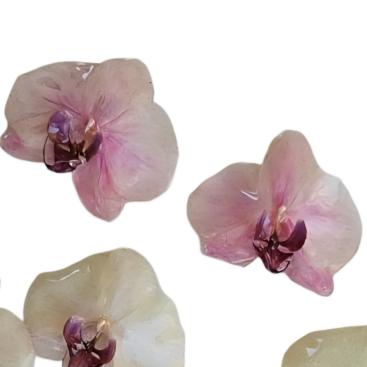Purple Royal Orchid Earrings