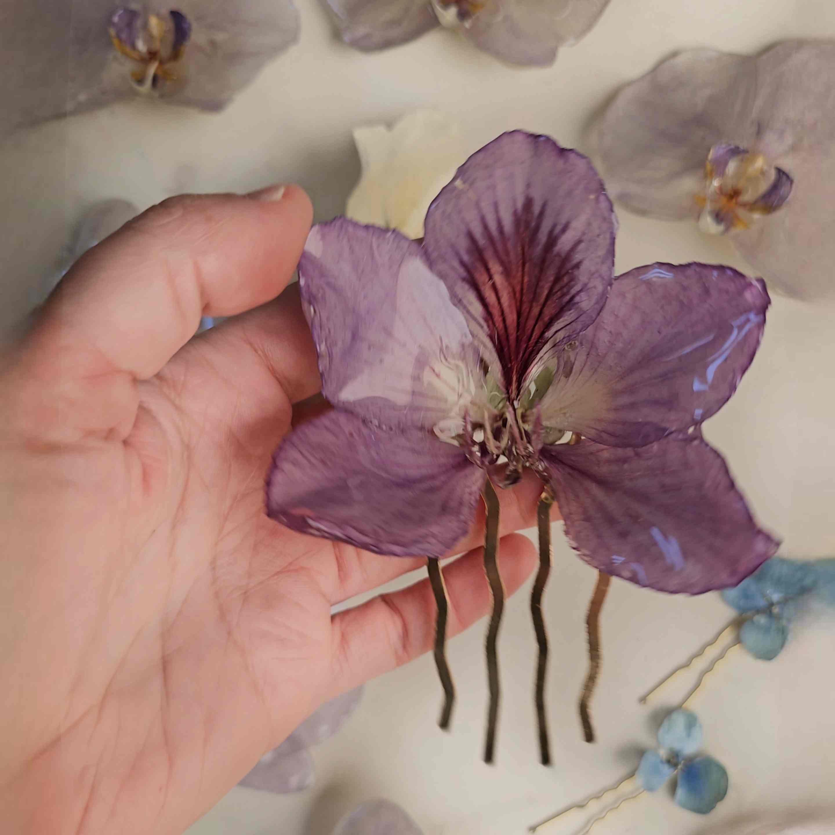 Peineta Orquídea de Árbol (Bauhinia) natural preservada